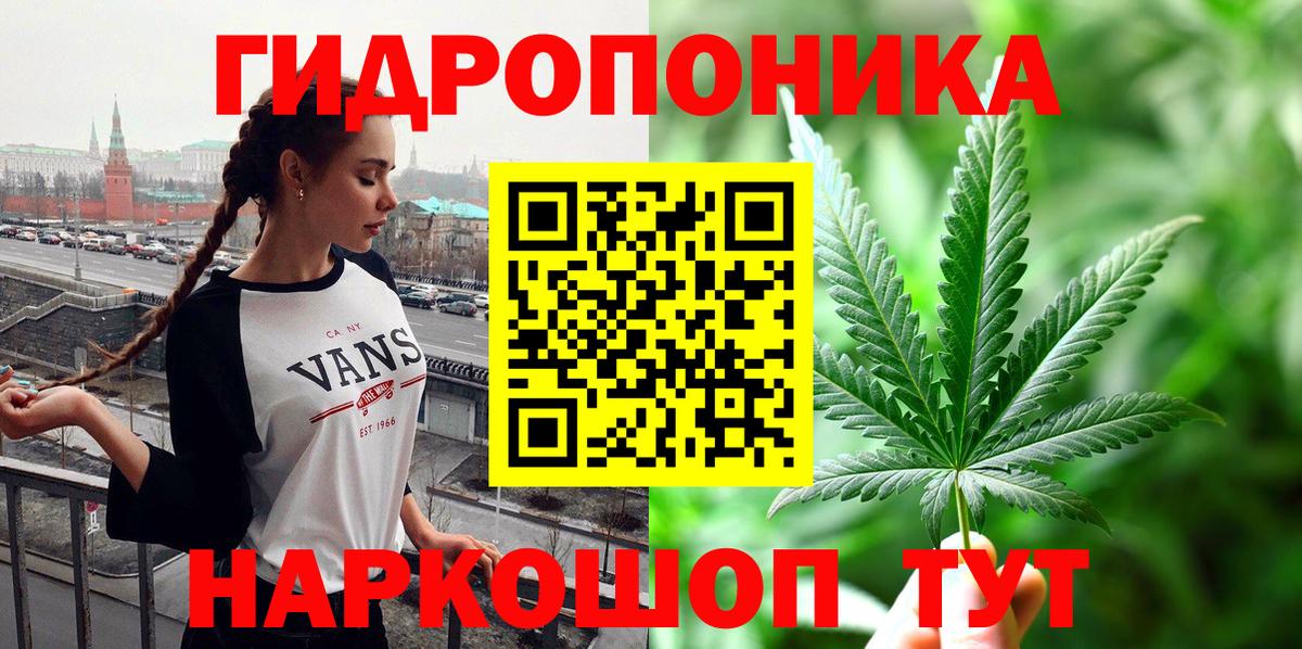 Аша  Канабис Bruce Banner  Каннабис гибрид  Вход с VPN  МАРИХУАНА индика 